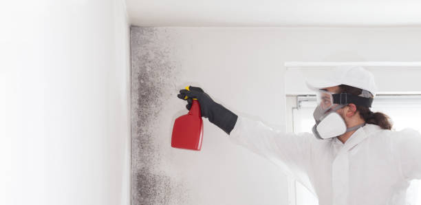 Austin, AR Mold Remediation Company